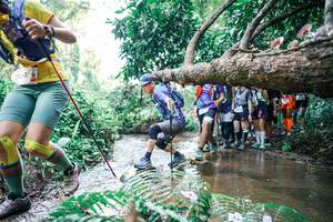 BIB: 
                            <button type="button" onclick="openModal(25473225)" class="btn btn-primary btn-sm float-right btn-popup" data-toggle="modal" data-target=".modal-high-quality">
                        <i class="fas fa-shopping-cart"></i> Add to Cart
                    </button>
                                            <button type="button" onclick="isThisMe(25473225, true)" class="btn btn-success btn-sm float-right btn-popup btn-isme hidden" data-toggle="tooltip" data-placement="bottom" title="นี่คือรูปของคุณใช่ไหม คลิกที่นี่เพื่อเอาเข้าอัลบั้ม">
                        <i class="fas fa-plus"></i> Add to album
                    </button>
                    <button type="button" onclick="isThisMe(25473225, false)" class="btn btn-warning btn-sm float-right btn-popup btn-isnotme hidden">
                        <i class="fas fa-ban"></i> Remove from album
                    </button>